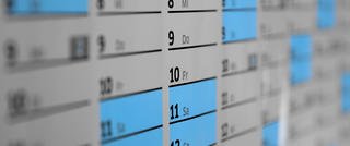 calendar 1990453 BLAU